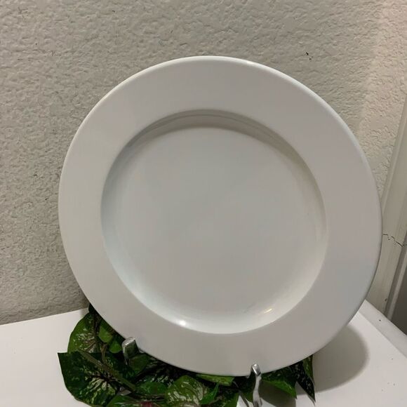 Arian Design by Vavro Fine porcelain  12.5” Platter Dinner G6 - Picture 1 of 5